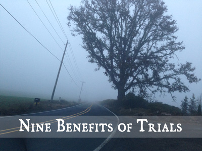 Benefits of trials - tree and road in the fog