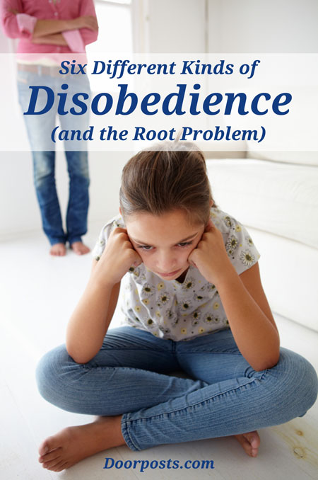 Six Different Kinds of Disobedience (and the root problem) - Doorposts blog