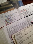 Thirty (Seven) Days in Isaiah 53 for Busy, Busy Mamas, Day 31: Prophecy Fulfilled