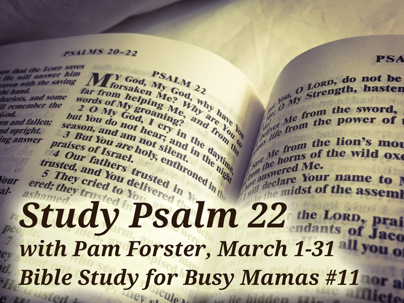 study-psalm-22-busy-mamas-bible-study