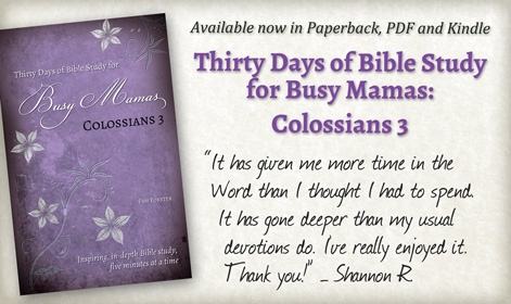 Bible Study for Busy Mamas